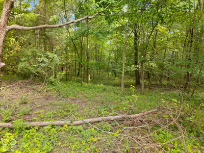 3681 W Jericho Road, Taswell - 37