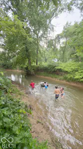 0 Old Nashville Road, Columbus - 8