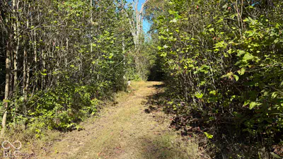 0 Michaels Road, Bloomfield - 41