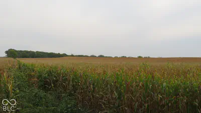 00 275 Road, Crawfordsville - 3