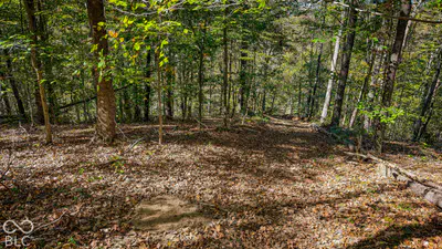 13290 E River Road, Shoals - 25