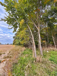E 300 North, Markle - 5