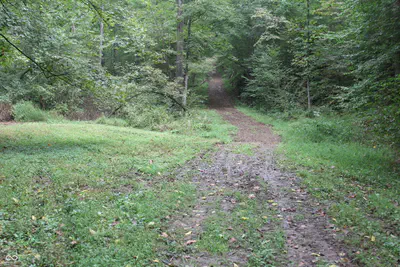 3490 Marlett Road, Nashville - 24