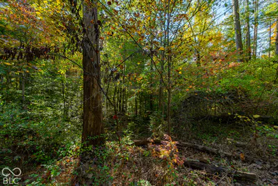 113 Hickory Knob Road, Nashville - 11