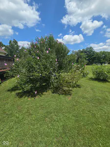 186 Ryan Court, Spencer - 10