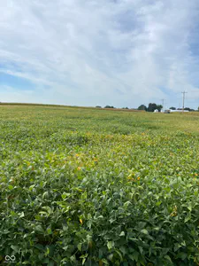 2815 US 231 Highway, Greencastle - 3