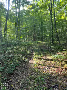 Tract 8 Sunnyside Road, Deputy - 4