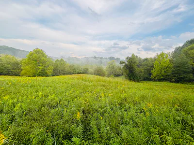 1 Snail Creek Road, Brookville - 6