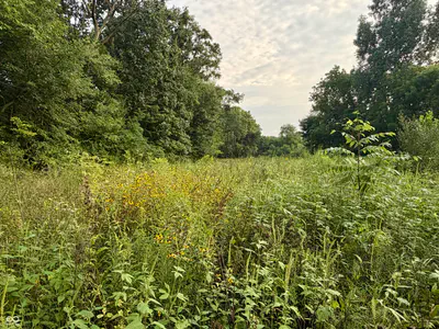 1732 250 West Road, Albion - 17