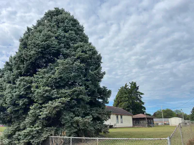 1614 4th Street, Terre Haute - 2