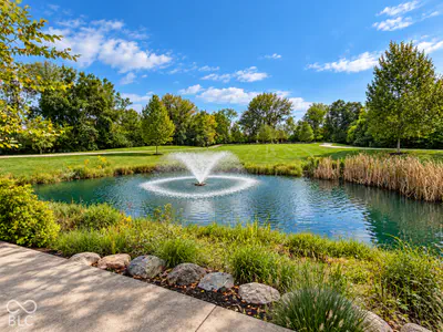 9869 Northern Lights Lane, Carmel - 48