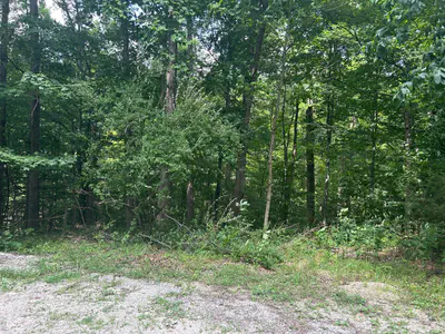 0 Aspen Drive, Nineveh - 2