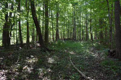 0 Sichting Road, Martinsville - 27