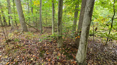 3949 E Thornton Road, Madison - 5