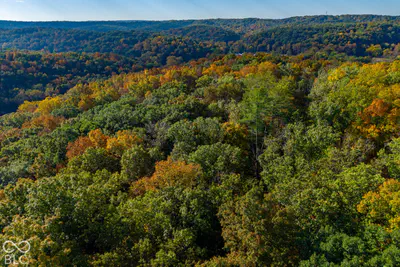 113 Hickory Knob Road, Nashville - 34