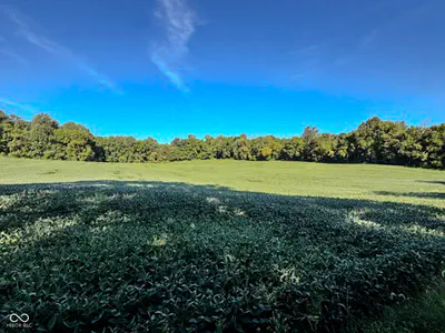 0 600, Scipio - 13