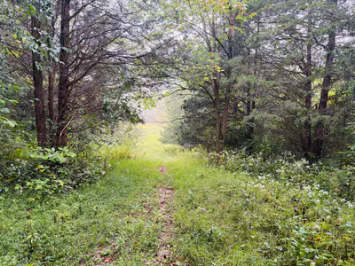 1 Snail Creek Road, Brookville - 8