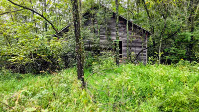 6847 Brushy Fork Road, Madison - 9