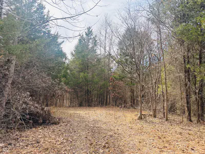 1 Snail Creek Road, Brookville - 20