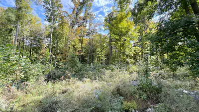 105 Rosewood Circle, Rockville - 10