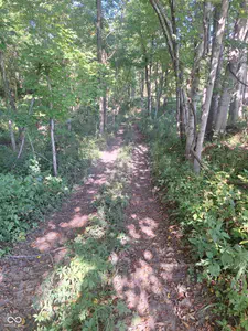 4943 E County Road 550 South S, Greencastle - 44
