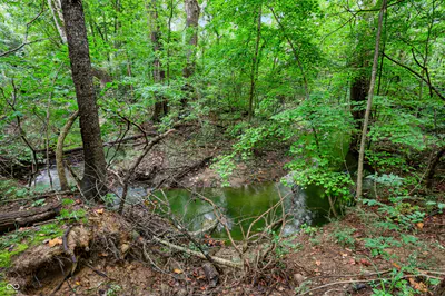 927 Racetime Road, Westfield - 121