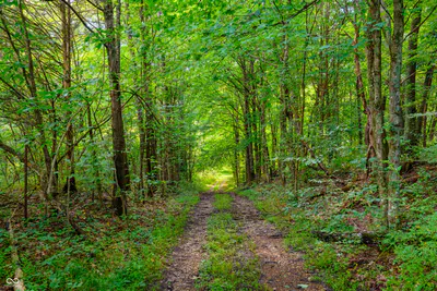 6000 County Road 500, Brownstown - 5