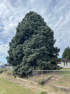1614 4th Street, Terre Haute - 10