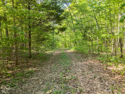 0 Co Rd 675, French Lick - 4