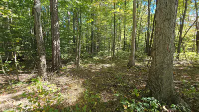 3255 Lemon Road, Madison - 6