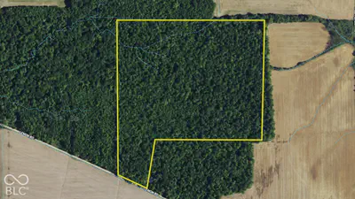 3255 Lemon Road, Madison - 39
