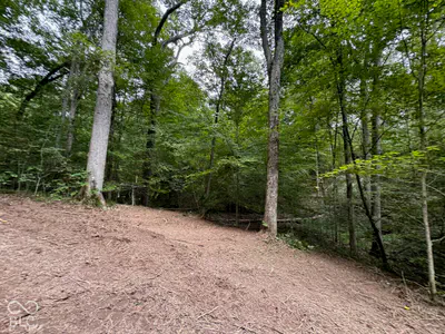 1625 State Road 46, Nashville - 16