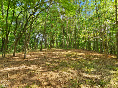 0 McCarthy Knob Road, Lanesville - 9