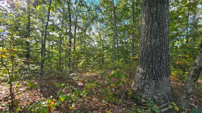 4332 State Road 135, Freetown - 4