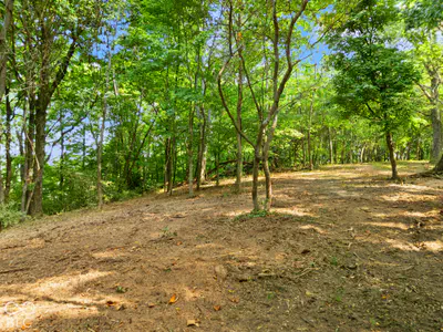 0 McCarthy Knob Road, Lanesville - 7