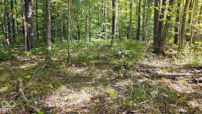 3255 Lemon Road, Madison - 11