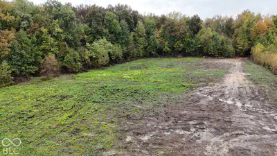 3949 E Thornton Road, Madison - 21