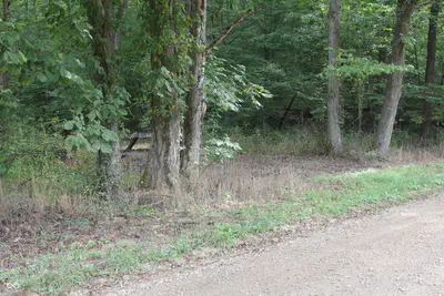 3490 Marlett Road, Nashville - 39
