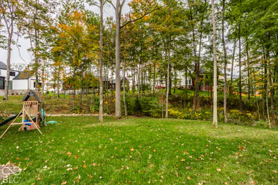 10465 Holliday Farms Boulevard, Zionsville - 63