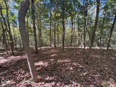3920 N County Road 500 W, West Baden Springs - 10