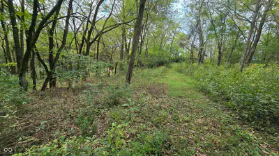 6847 Brushy Fork Road, Madison - 33