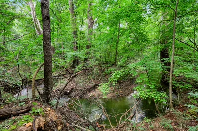 927 Racetime Road, Westfield - 122