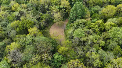 6847 Brushy Fork Road, Madison - 41