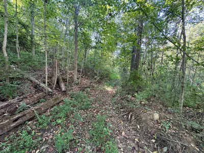 15839 State Road 156, Patriot - 18