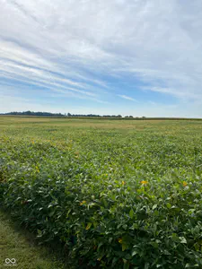 2815 US 231 Highway, Greencastle - 4