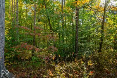 113 Hickory Knob Road, Nashville - 19