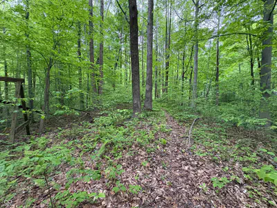 102 & 104 Crabapple Court, Reelsville - 4