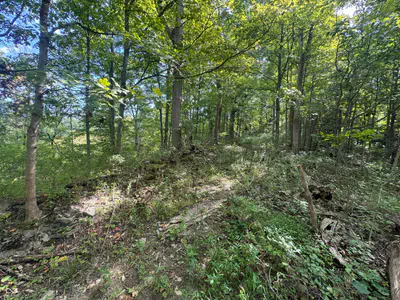 15839 State Road 156, Patriot - 23