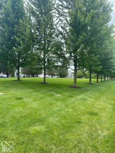 12215 Pebble Street, Fishers - 41