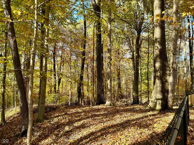 10151 Brann Road, Poland - 54
